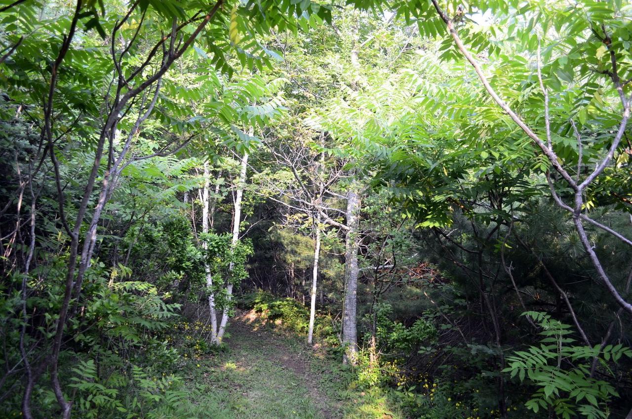 Still Point Lodge Deep Brook Ngoại thất bức ảnh